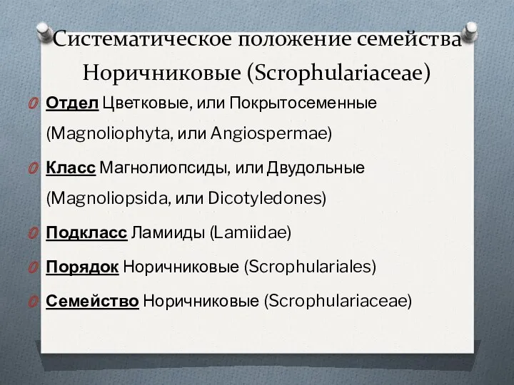 Систематическое положение семейства Норичниковые (Scrophulariaceae) Отдел Цветковые, или Покрытосеменные (Magnoliophyta,
