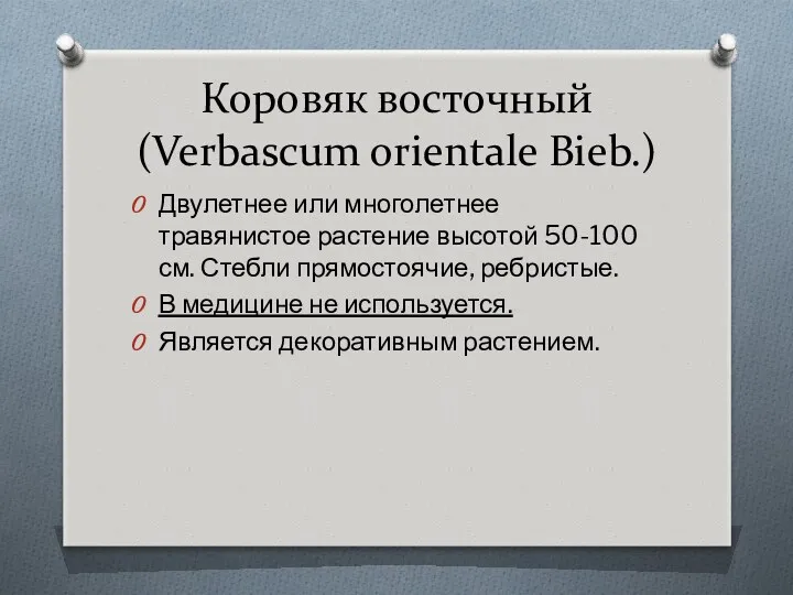 Коровяк восточный (Verbascum orientale Bieb.) Двулетнее или многолетнее травянистое растение