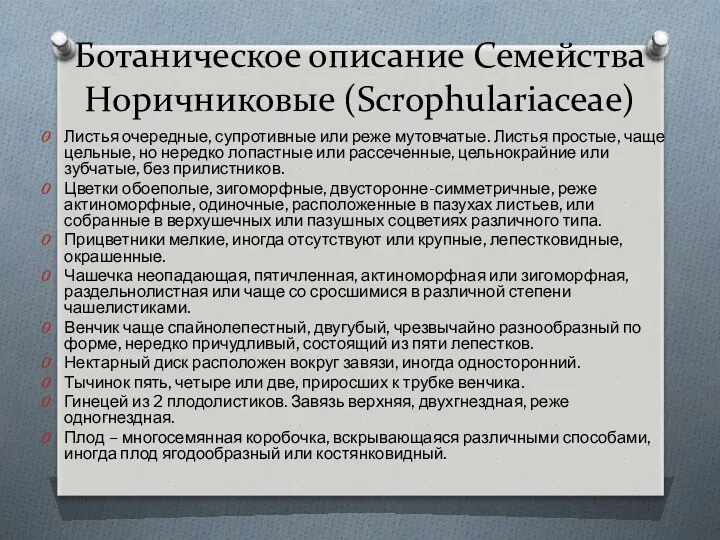 Ботаническое описание Семейства Норичниковые (Scrophulariaceae) Листья очередные, супротивные или реже