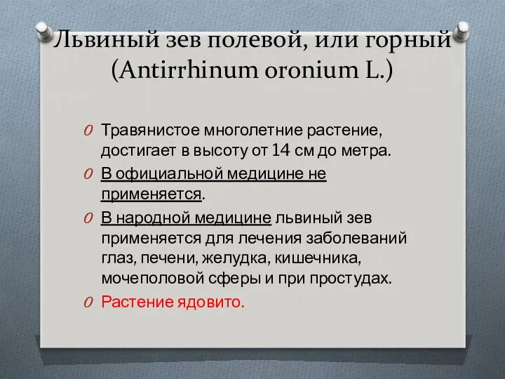 Львиный зев полевой, или горный (Antirrhinum oronium L.) Травянистое многолетние