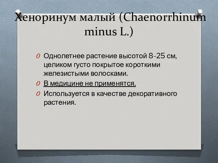 Хеноринум малый (Chaenorrhinum minus L.) Однолетнее растение высо­той 8-25 см,