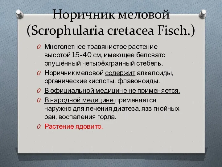 Норичник меловой (Scrophularia cretacea Fisch.) Многолетнее травянистое растение высотой 15-40