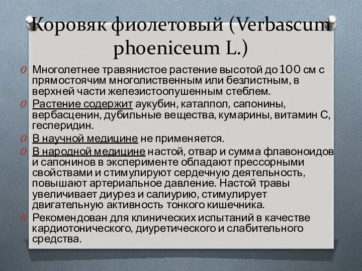 Коровяк фиолетовый (Verbascum phoeniceum L.) Многолетнее травянистое растение высотой до