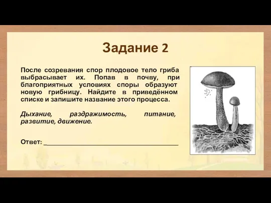 Задание 2 После созревания спор плодовое тело гриба выбрасывает их.