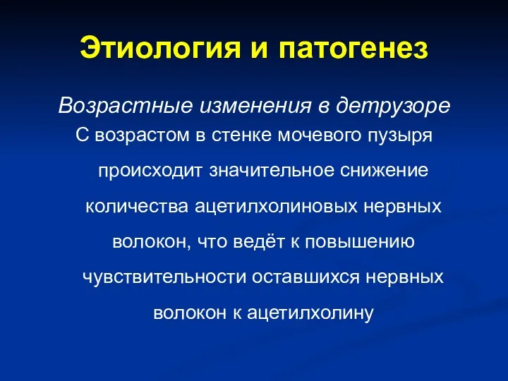 Этиология и патогенез Возрастные изменения в детрузоре С возрастом в