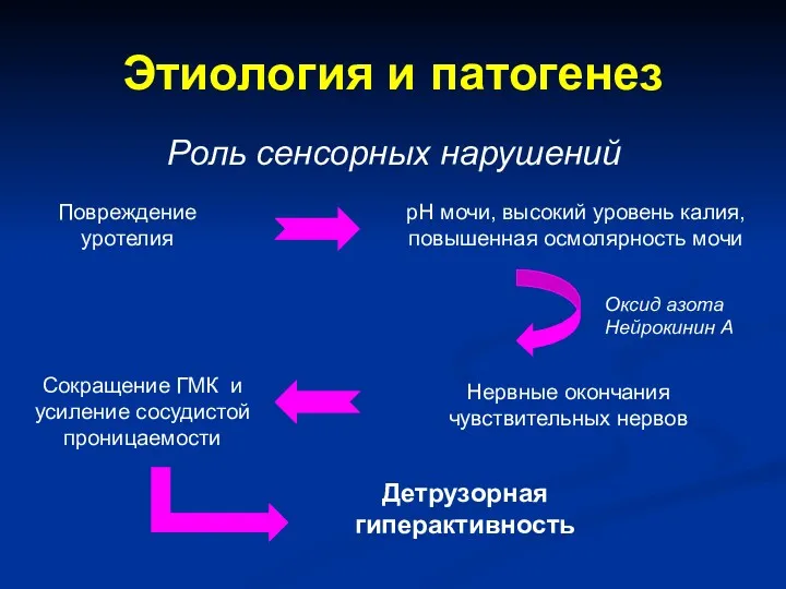 Этиология и патогенез Роль сенсорных нарушений Повреждение уротелия рН мочи,