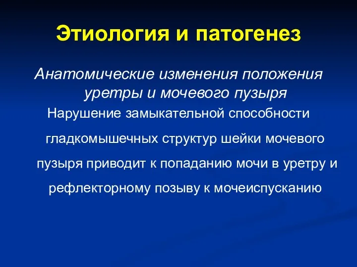 Этиология и патогенез Анатомические изменения положения уретры и мочевого пузыря