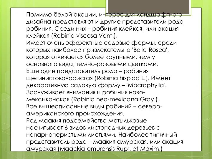 Помимо белой акации, интерес для ландшафтного дизайна представляют и другие