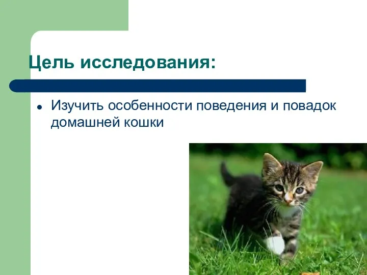 Цель исследования: Изучить особенности поведения и повадок домашней кошки