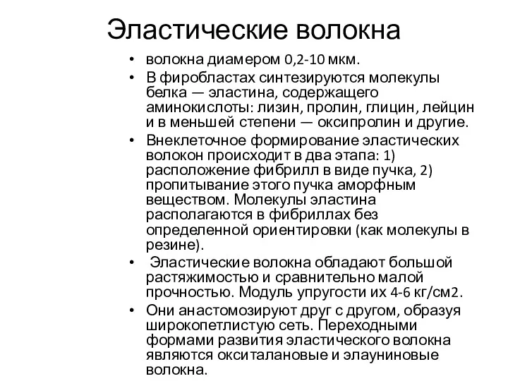 Эластические волокна волокна диамером 0,2-10 мкм. В фиробластах синтезируются молекулы