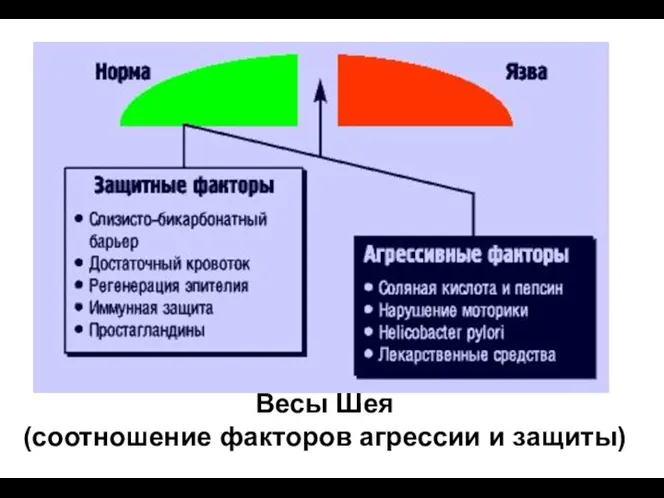 Весы Шея (соотношение факторов агрессии и защиты)