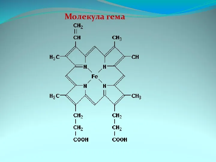 Молекула гема