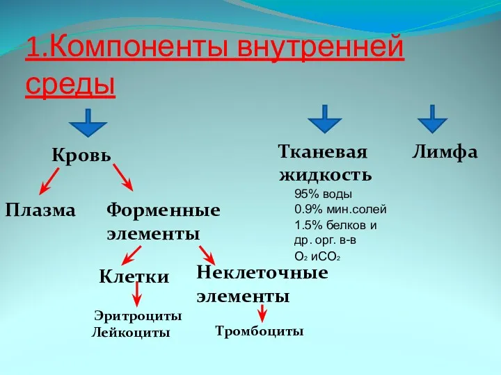 1.Компоненты внутренней среды Плазма Форменные элементы Клетки Неклеточные элементы Тканевая