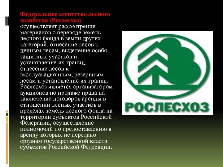 Федеральное агентство лесного хозяйства (Рослесхоз) осуществляет рассмотрение материалов о переводе