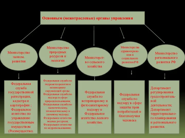 Основным (межотраслевые) органы управления Министерство эконом. развития Министерство природных ресурсов