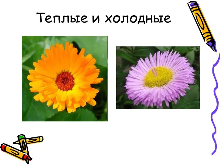 Теплые и холодные