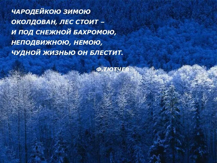 ЧАРОДЕЙКОЮ ЗИМОЮ ОКОЛДОВАН, ЛЕС СТОИТ – И ПОД СНЕЖНОЙ БАХРОМОЮ,