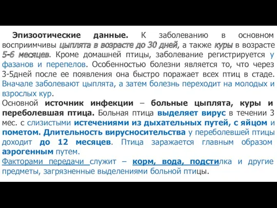 Эпизоотические данные. К заболеванию в основном восприимчивы цыплята в возрасте