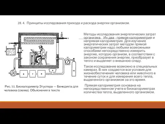 28. 4. Принципы исследования прихода и расхода энергии организмом. Методы