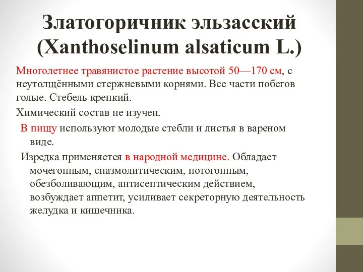 Златогоричник эльзасский (Xanthoselinum alsaticum L.) Многолетнее травянистое растение высотой 50—170