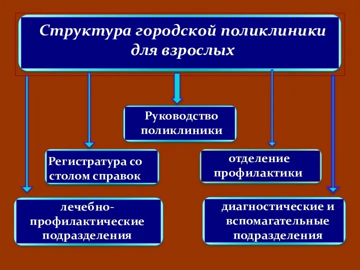 Структура городской поликлиники для взрослых Руководство поликлиники отделение профилактики лечебно-