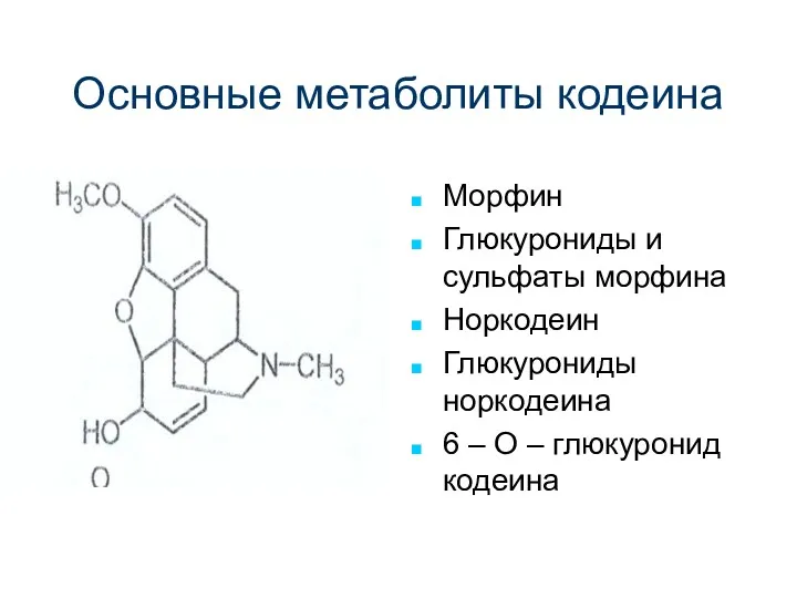 Основные метаболиты кодеина Морфин Глюкурониды и сульфаты морфина Норкодеин Глюкурониды