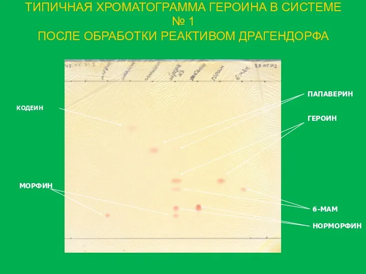 ТИПИЧНАЯ ХРОМАТОГРАММА ГЕРОИНА В СИСТЕМЕ № 1 ПОСЛЕ ОБРАБОТКИ РЕАКТИВОМ