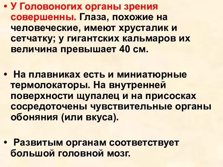 У Головоногих органы зрения совершенны. Глаза, похожие на человеческие, имеют хрусталик и сетчатку;