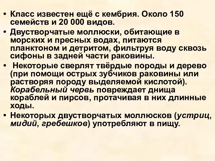 Класс известен ещё с кембрия. Около 150 семейств и 20 000 видов. Двустворчатые