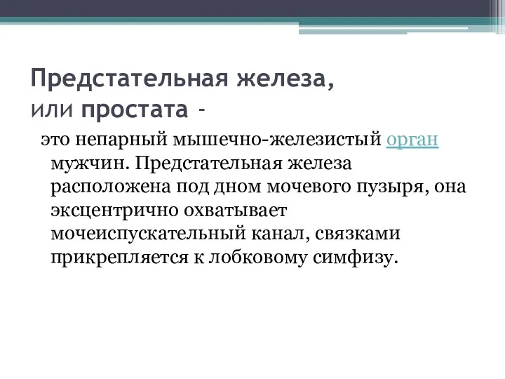 Предстательная железа, или простата - это непарный мышечно-железистый орган мужчин.