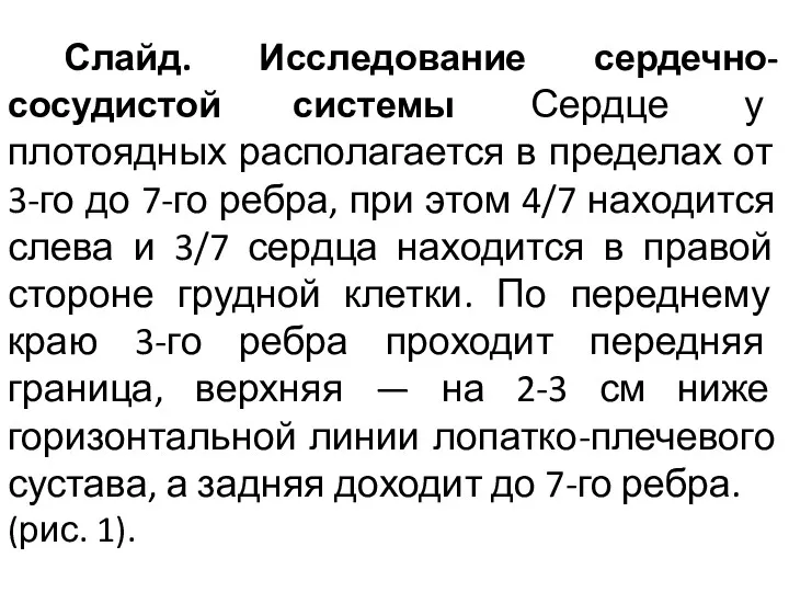 Слайд. Исследование сердечно-сосудистой системы Сердце у плотоядных располагается в пределах