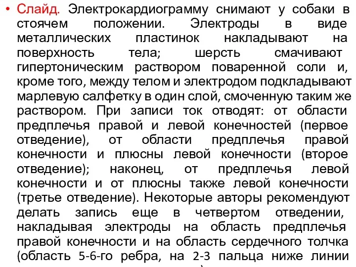 Слайд. Электрокардиограмму снимают у собаки в стоячем положении. Электроды в