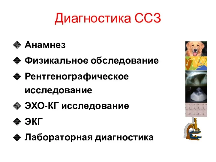 Диагностика ССЗ Анамнез Физикальное обследование Рентгенографическое исследование ЭХО-КГ исследование ЭКГ Лабораторная диагностика