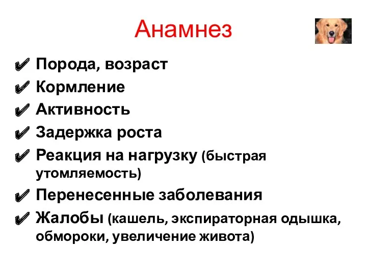 Анамнез Порода, возраст Кормление Активность Задержка роста Реакция на нагрузку