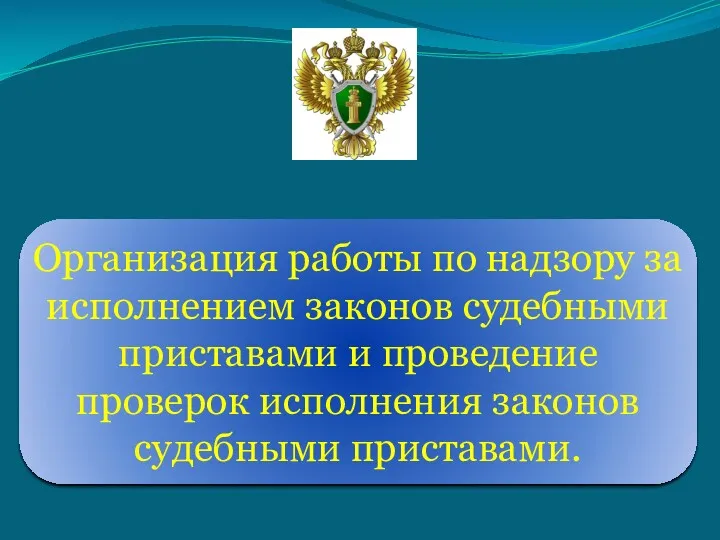 Организация работы по надзору за исполнением законов судебными приставами и проведение проверок исполнения законов судебными приставами.