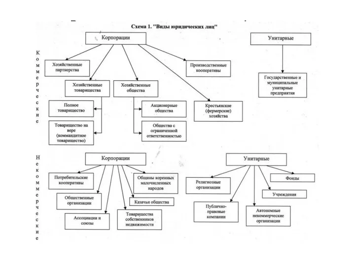 Виды юридических лиц, их классификации