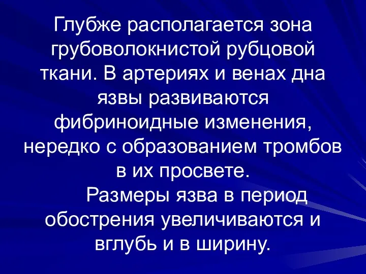 Глубже располагается зона грубоволокнистой рубцовой ткани. В артериях и венах