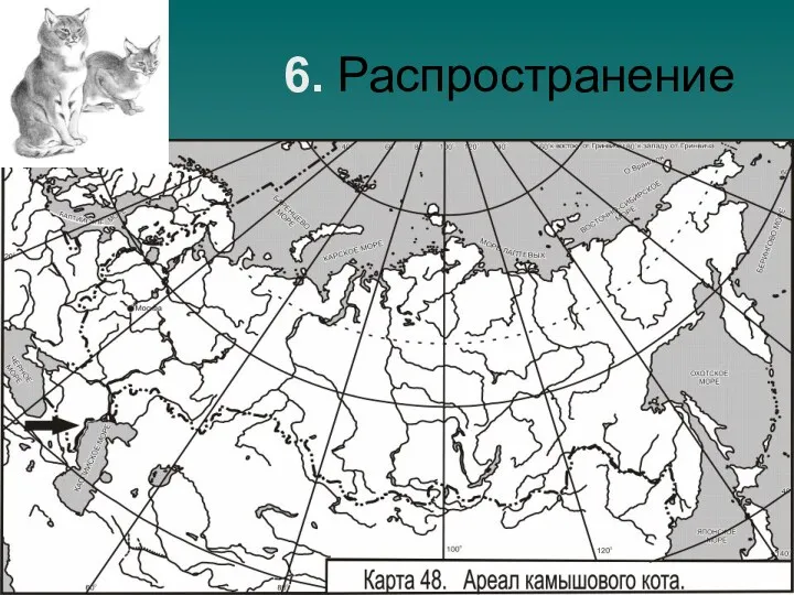 6. Распространение