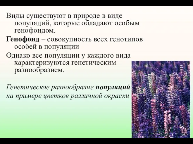 Виды существуют в природе в виде популяций, которые обладают особым