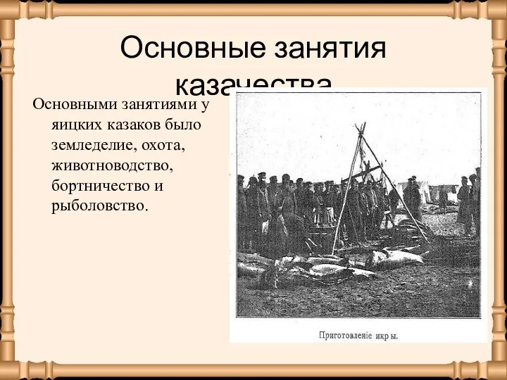 Основные занятия казачества Основными занятиями у яицких казаков было земледелие, охота, животноводство, бортничество и рыболовство.