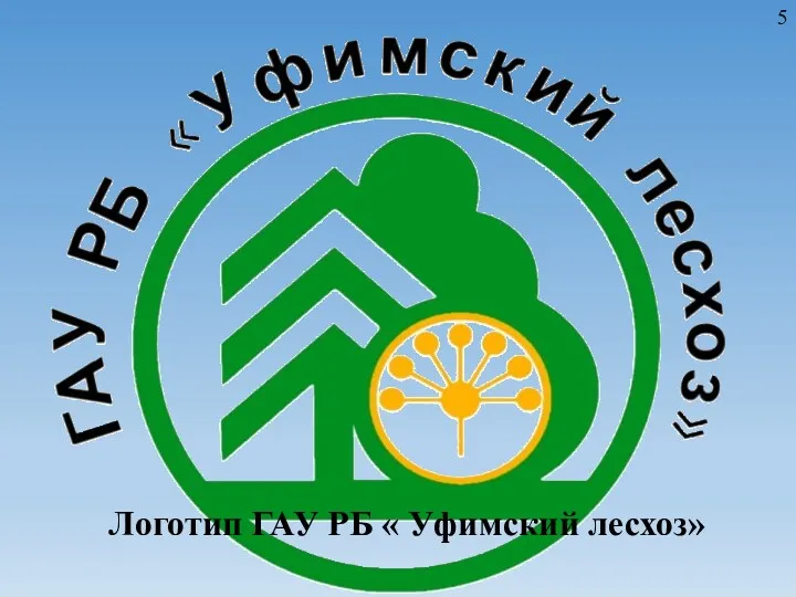 5 Логотип ГАУ РБ « Уфимский лесхоз»