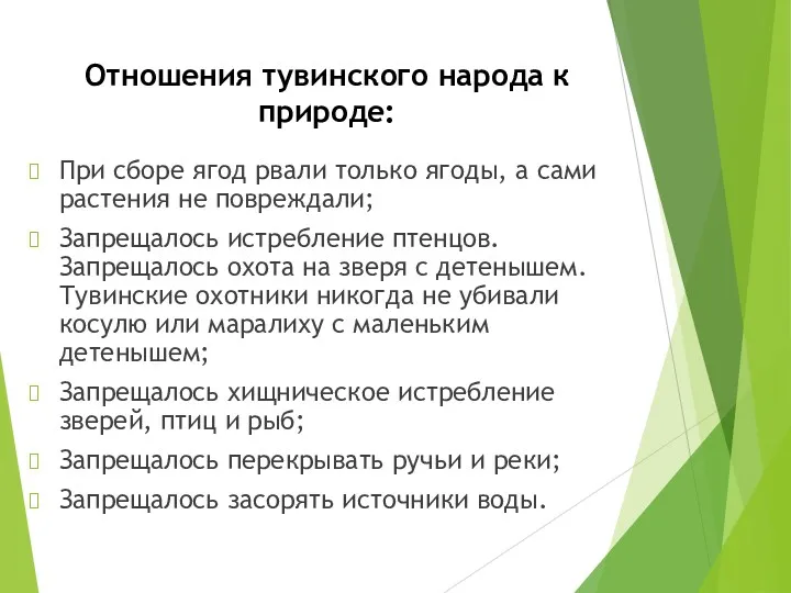 Отношения тувинского народа к природе: При сборе ягод рвали только