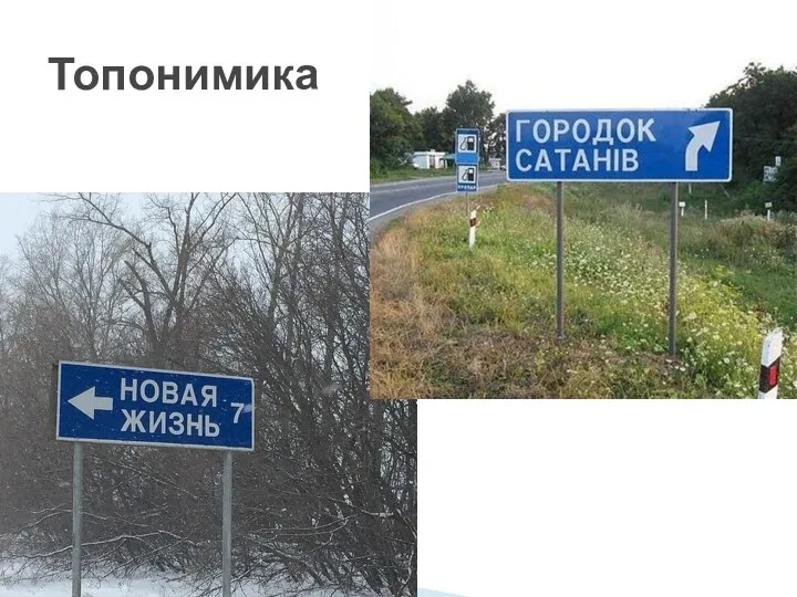 Топонимика