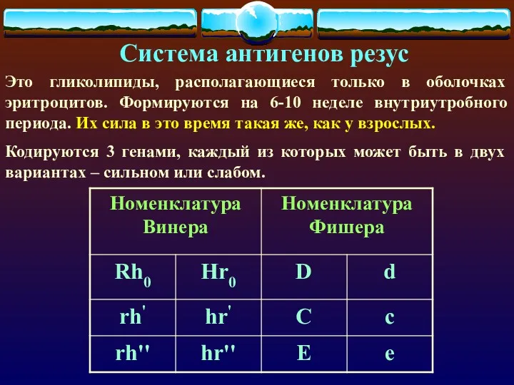 Система антигенов резус Это гликолипиды, располагающиеся только в оболочках эритроцитов.