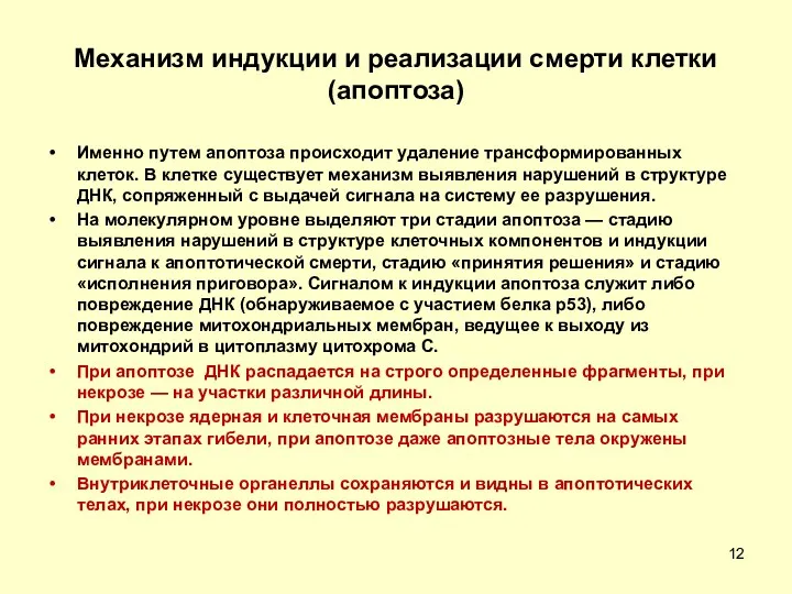 Механизм индукции и реализации смерти клетки (апоптоза) Именно путем апоптоза