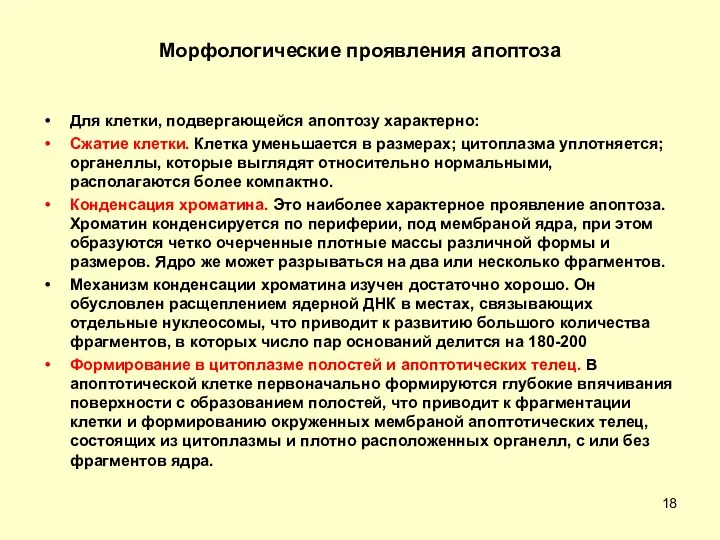 Морфологические проявления апоптоза Для клетки, подвергающейся апоптозу характерно: Сжатие клетки.