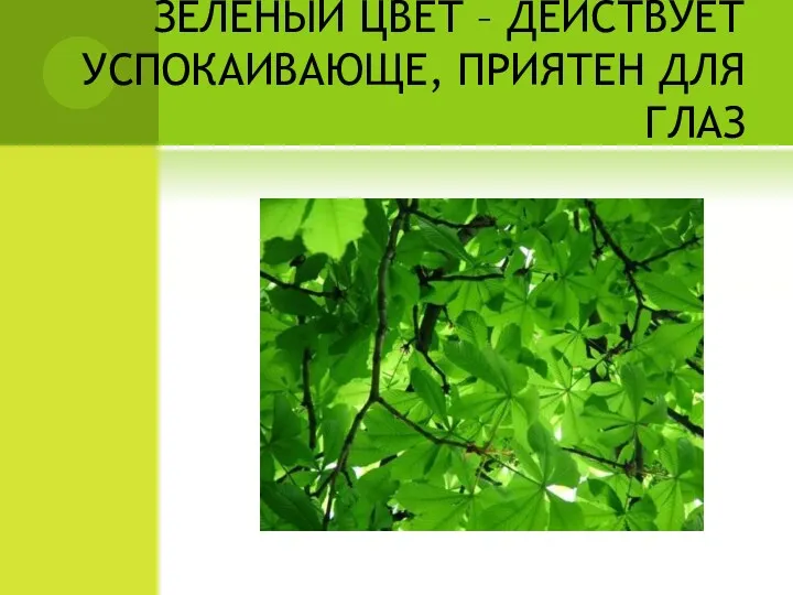 ЗЕЛЁНЫЙ ЦВЕТ – ДЕЙСТВУЕТ УСПОКАИВАЮЩЕ, ПРИЯТЕН ДЛЯ ГЛАЗ