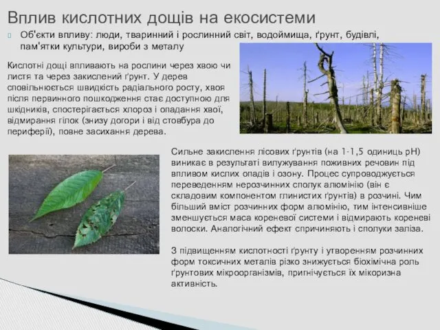 Об'єкти впливу: люди, тваринний і рослинний світ, водоймища, ґрунт, будівлі,