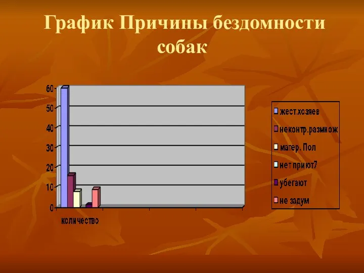 График Причины бездомности собак