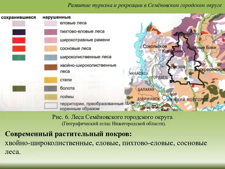 Современный растительный покров: хвойно-широколиственные, еловые, пихтово-еловые, сосновые леса. Рис. 6.